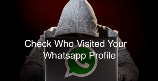 Check-Who-Visited-My-Whatsapp-Profile